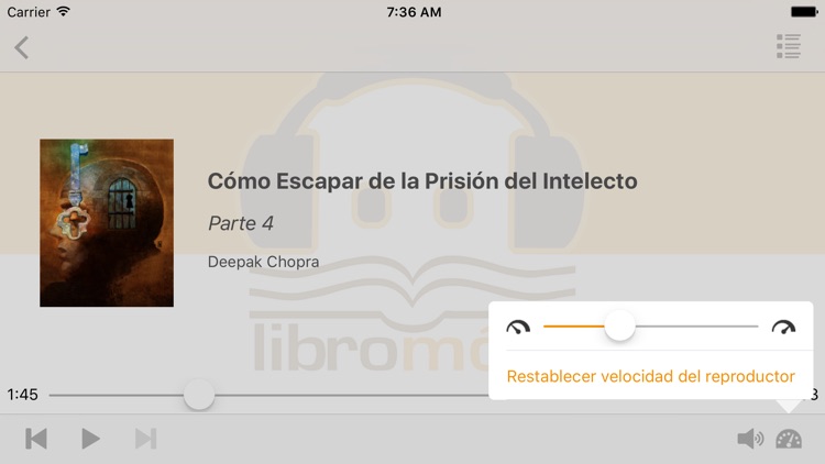 Cómo Escapar de la Prisión del Intelecto