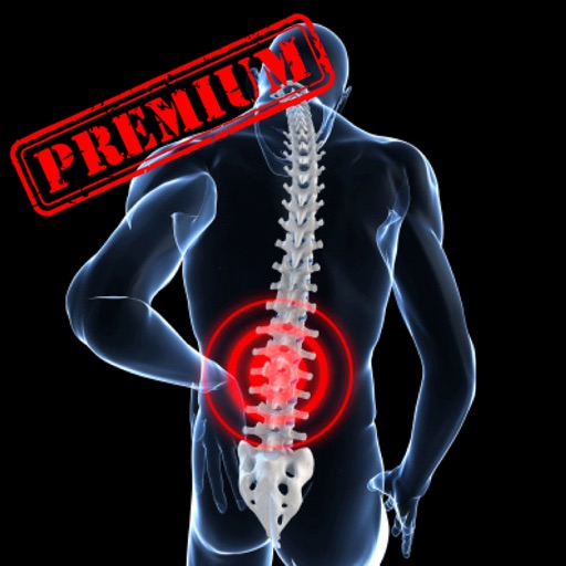 Back Pain Relief Exercises - Only 10 minutes daily workout for for relieving lower back pain, any age - Premium version icon