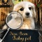 New Born Baby Pet Hidden Objects is FREE Hidden Object Game to PLAY & DOWNLOAD 