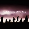 Quick Wisdom from The Fellowship of the Ring:Guide