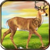 2016 Deer Hunt Pro Challenge