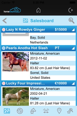 Horsecount screenshot 3