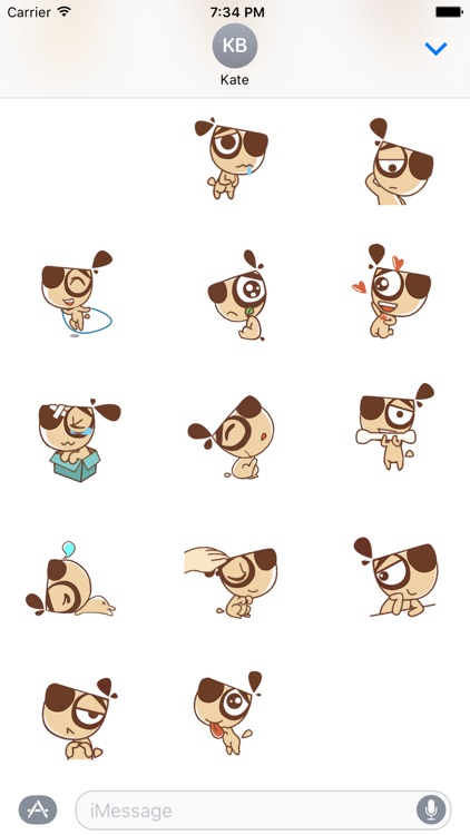 Daodao dog