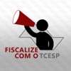 Fiscalize com o TCESP