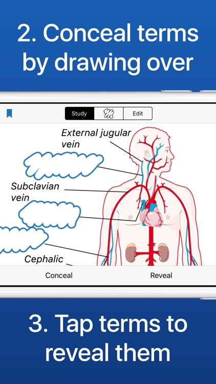 Flashcards for Diagrams - Diagram Flashcard Maker