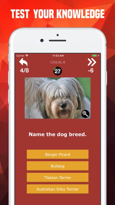 Dogs Trivia - Canis Breed Quiz screenshot 3