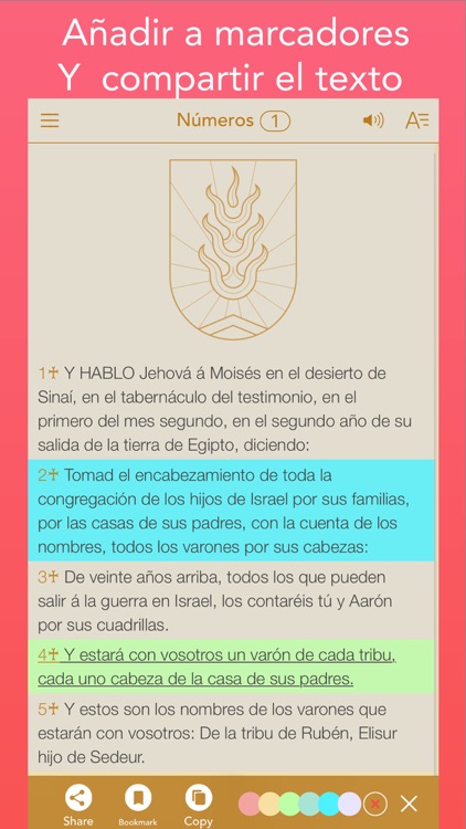 RVA Antigua Spanish Bible (Biblia Español) screenshot-4