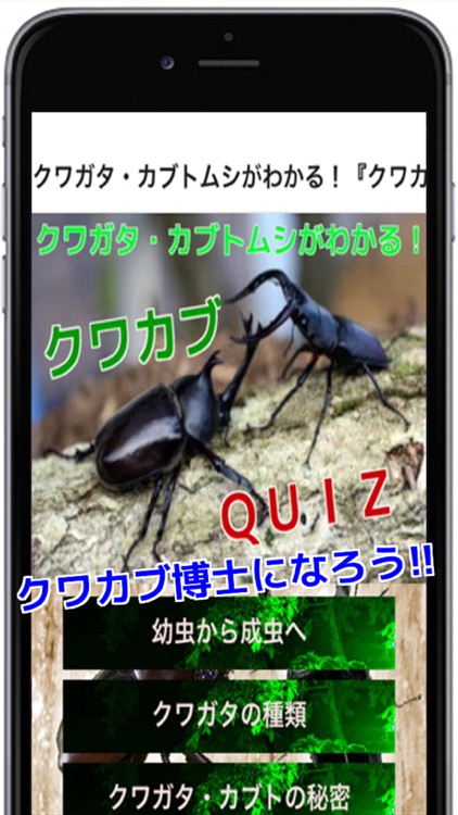 クワガタ・カブトムシがわかる！クワカブクイズ