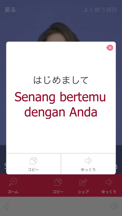 インドネシア語ビデオ辞書　-　翻訳機能・学... screenshot1