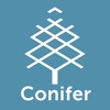 Conifer iCon