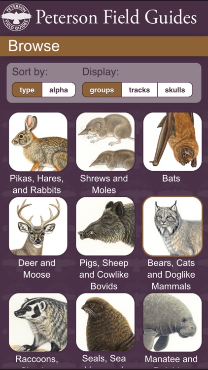 Peterson Mammals Field Guide