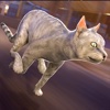 Cat Simulator 2016 . Free Best Kitten Fun Games For Children