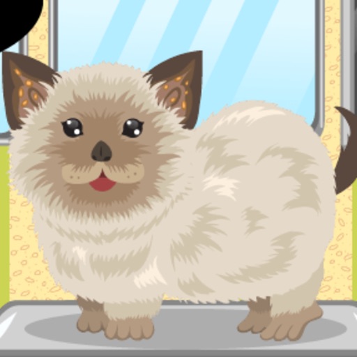 Pet groomer-the first pet icon