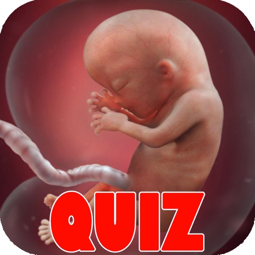 Pregnancy Test Quiz - Utimate Trivia Guide For Expecting Mothers Icon