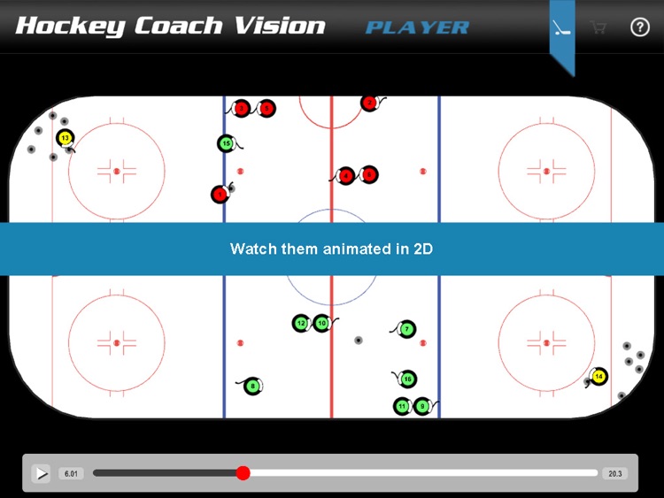 Hockey Coach Vision - Player