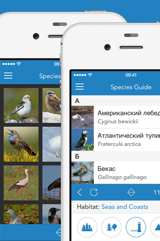 iKnow Birds 2 PRO - Europe screenshot 2