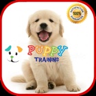 Top 49 Education Apps Like Puppy Training tips and tricks - Best Alternatives