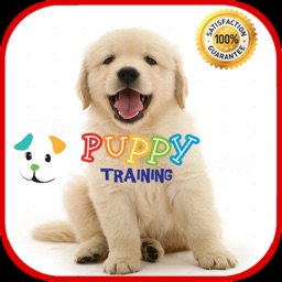 Puppy Training tips and tricks