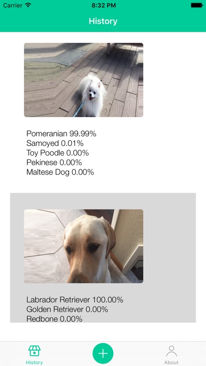 Dog Breeds Recognition by AI
