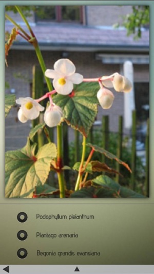 Medicinal Plants Collection HD(圖2)-速報App