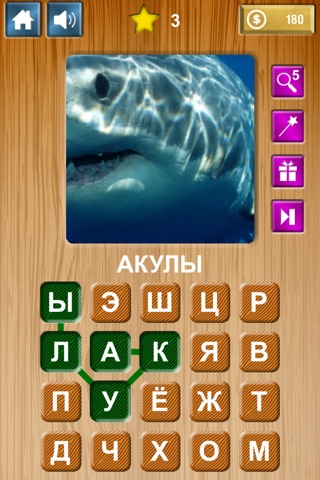 Zoom & Hidden Word - Animals Edition screenshot 3