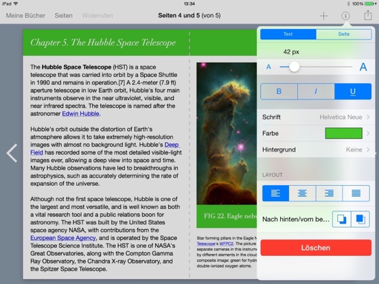 iPad Screenshot 2