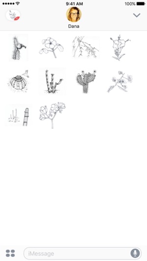 Cactus And Flowers stickers by Weds for iMessage(圖2)-速報App