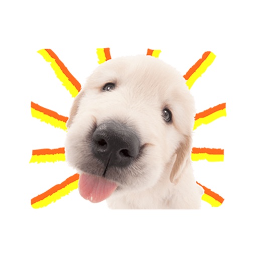 Sweety Dog Lover icon