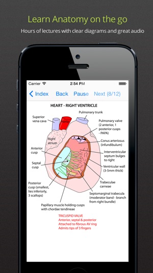 Anatomy Lectures and MCQs(圖1)-速報App