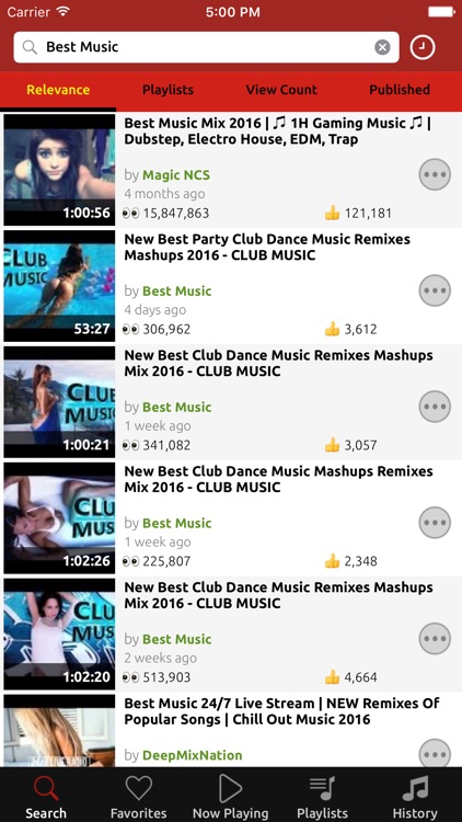 NetTube Video Music Player & Playlist Manager