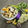 Organic Medicinal Herb:Ultimate Guide