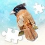 Get Cute World Animal Jigsaw Plus for iOS, iPhone, iPad Aso Report