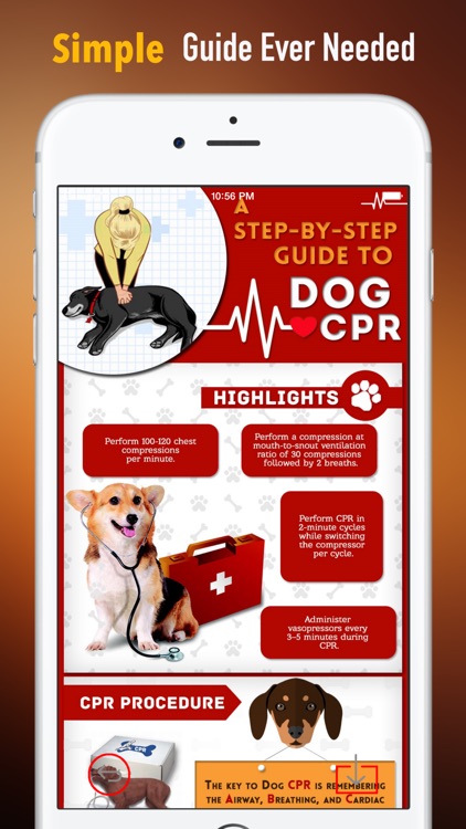 How to Perform CPR on Your Pet:Manual
