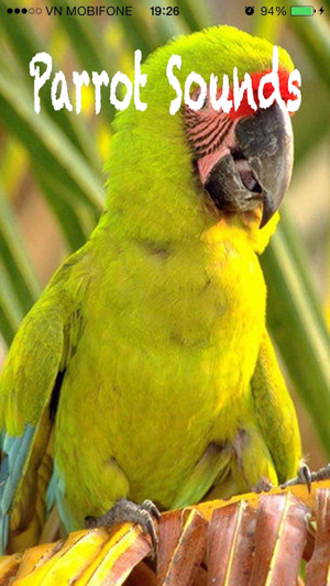 Parrot Sounds - Cockatoo,Caique,Kakariki