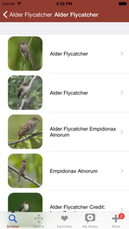 Game screenshot 2000 Bird Species with Guides apk