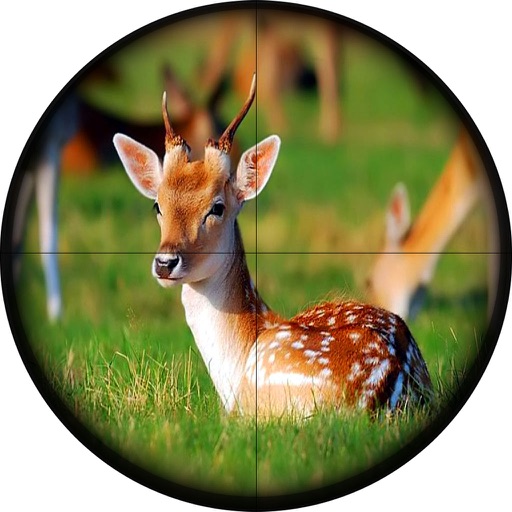 Deer hunt Deadly Season Icon