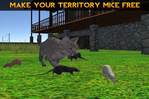 Kitten Cat Simulator 2016: Best pet simulation of mouse and cat game for kids screenshot 3