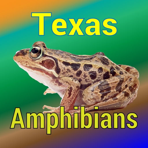 Texas Amphibians - Guide to Common Species