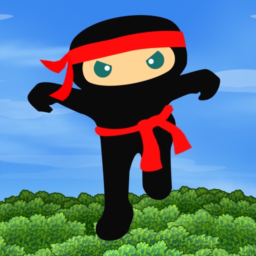 Ninja Fall Quest icon