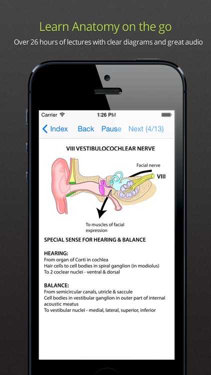 Instant Anatomy Anthology