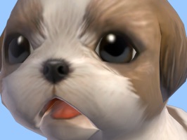 Shih Tzu - Animated Puppy Stickers