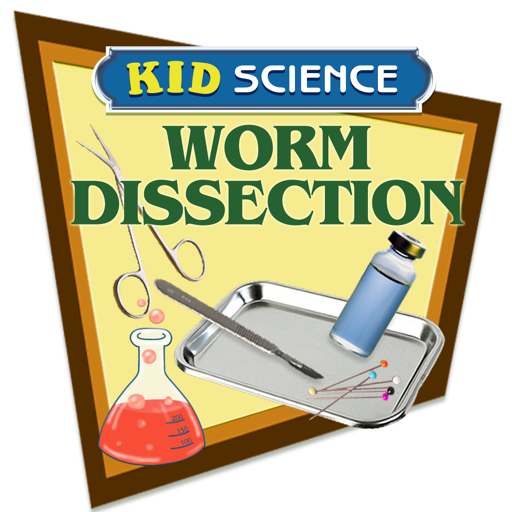 Worm Dissection by Kid Science icon