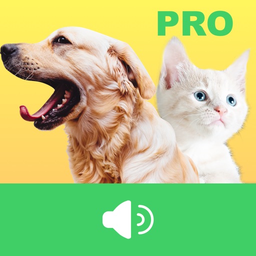 Animal Voices Box Pro - Natural Animal Sounds Library