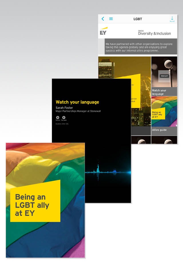 EY EMEIA Diversity and Inclusion screenshot 4
