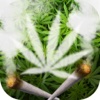 Weed Wallpaper Maker – Marijuana Background Images with Cool Grass Lock Screen Themes