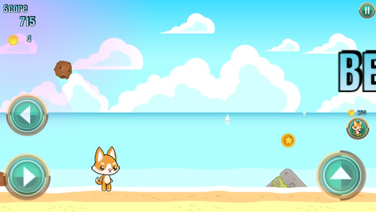 Cute Dog Beach Adventure screenshot-3