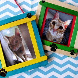 Cat Photo Frames