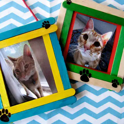 Cat Photo Frames Читы