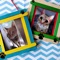 f you love cute little kittens these adorable animals can now be part of your photos