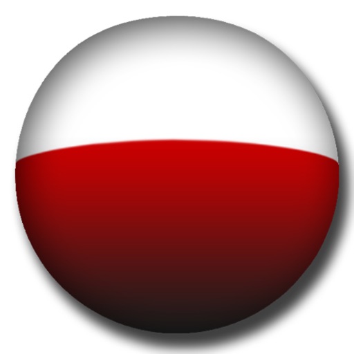 Polish Grammar - Learn a new language icon